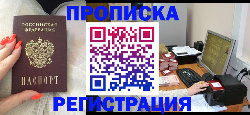 где прописаться в Курске